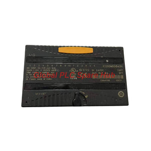 IC200MDD843