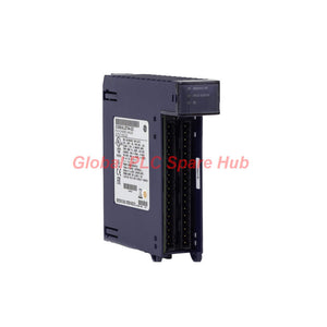 IC695ALG704