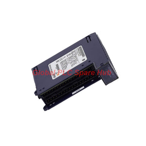 IC695ALG704